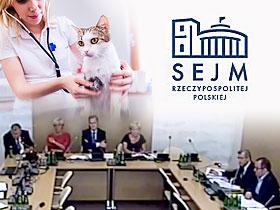 Kolaż: Zdjęcie z obrad komisji zespołu parlamntarnego, logo Sejmu RP oraz zdjęcie weterynarza badającego kota