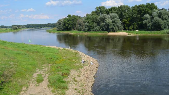 A fragment of Odra River in Nowa Sól